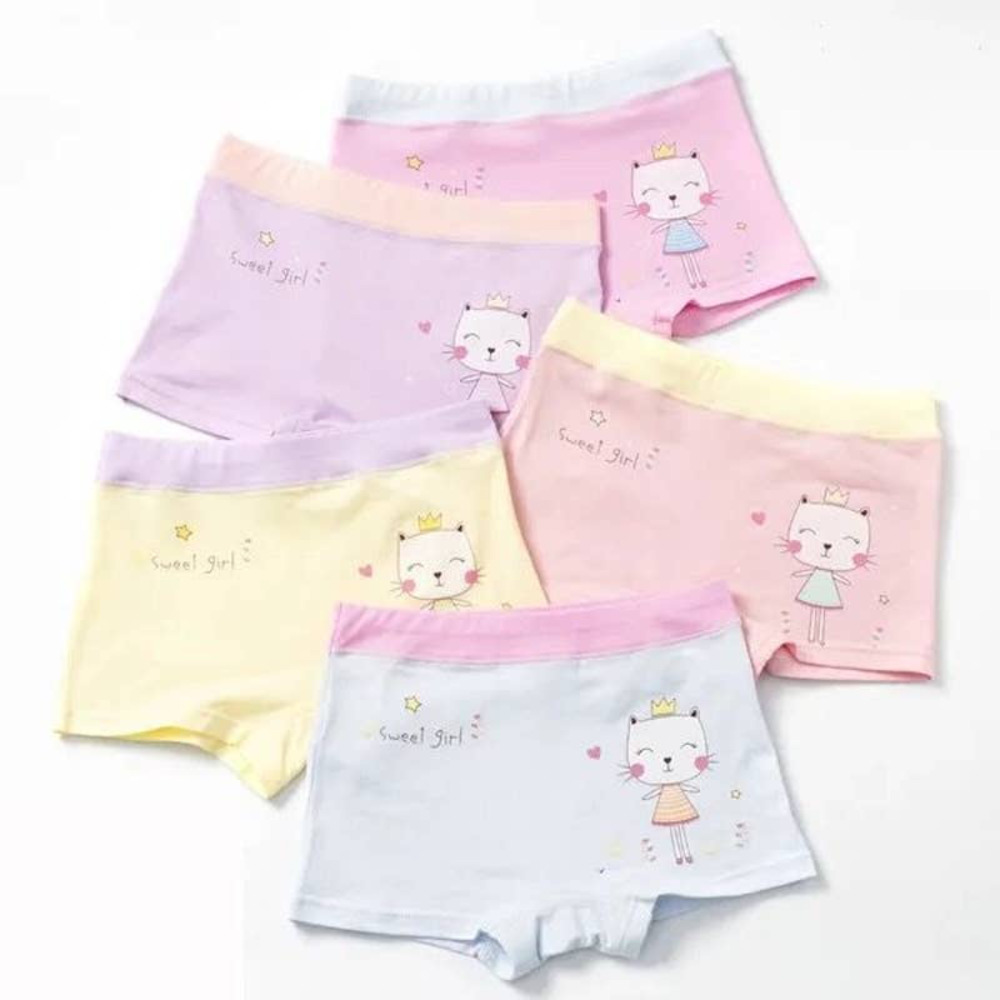 Little Girls Underwear Toddler Panties Cotton Boyshort 5-Pack Size 2T